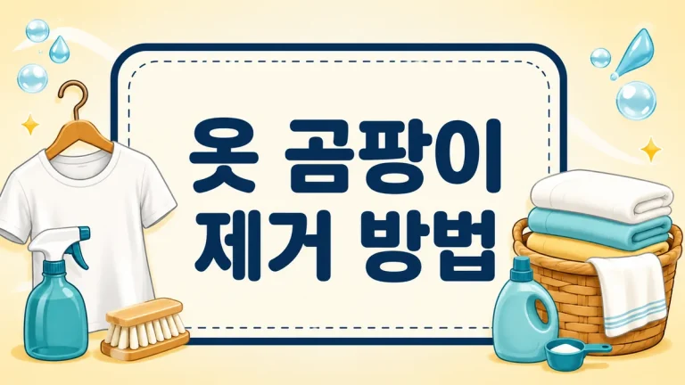 옷 곰팡이 제거 방법, 소재별 순서와 담가두면 안 되는 옷 구분까지