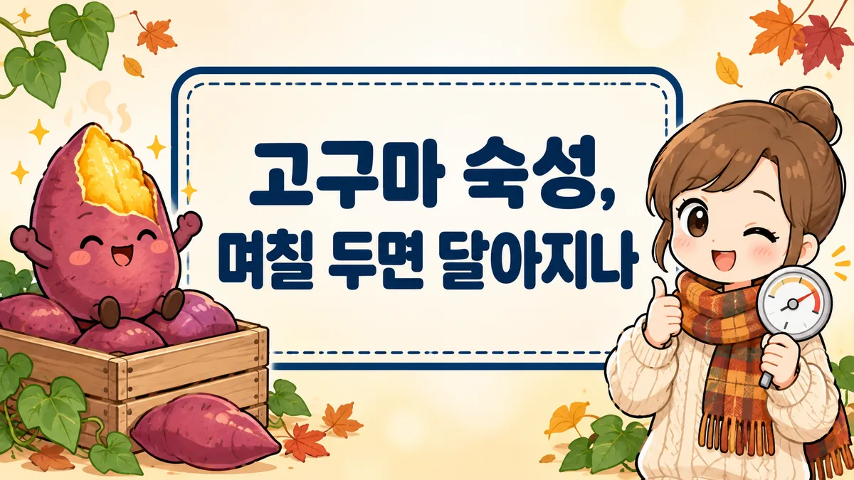 고구마 숙성, 며칠 두면 달아지나 — 12~15℃에 두고 냉장고는 피하는 이유 고구마 숙성, 며칠 두면 달아지나 — 12~15℃에 두고 냉장고는 피하는 이유